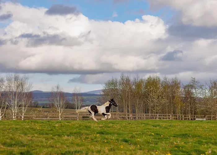 Villa Rochtaine, Mount Juliet Estate *